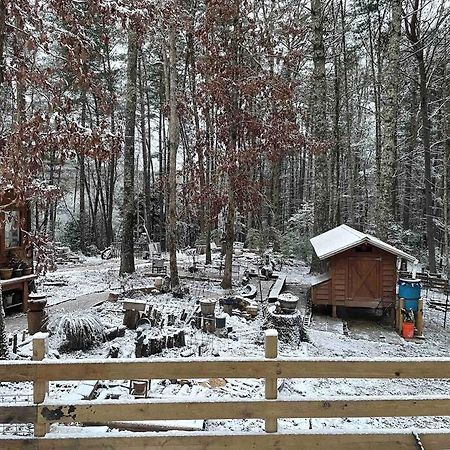 Beautiful & Peaceful Cabin W/ Deck Garden & Fire-Pit Murphy Zewnętrze zdjęcie