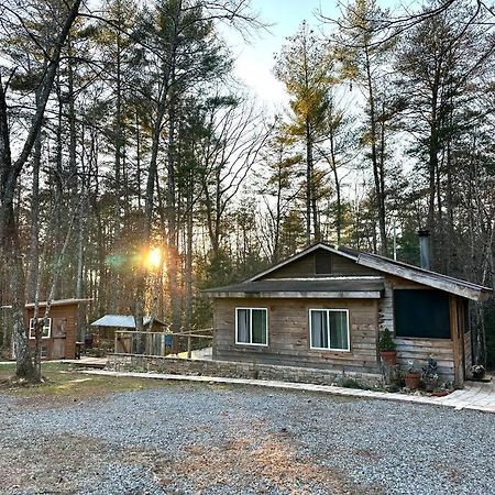 Beautiful & Peaceful Cabin W/ Deck Garden & Fire-Pit Murphy Zewnętrze zdjęcie