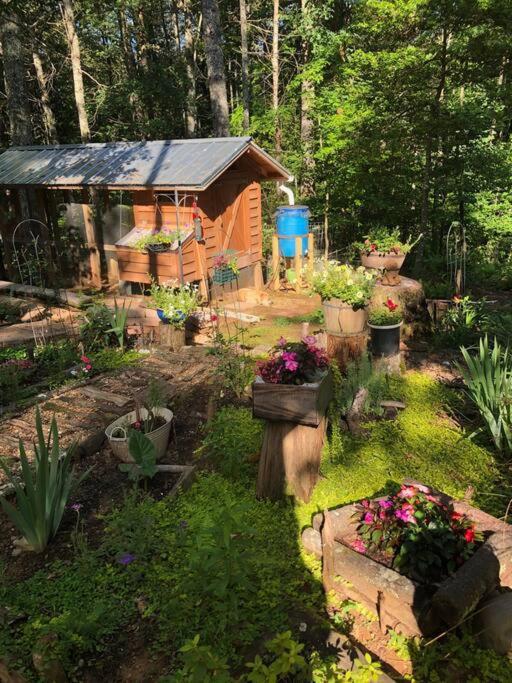 Beautiful & Peaceful Cabin W/ Deck Garden & Fire-Pit Murphy Zewnętrze zdjęcie