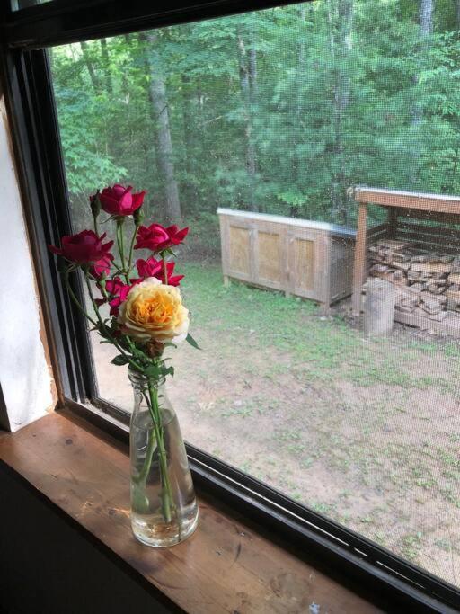Beautiful & Peaceful Cabin W/ Deck Garden & Fire-Pit Murphy Zewnętrze zdjęcie