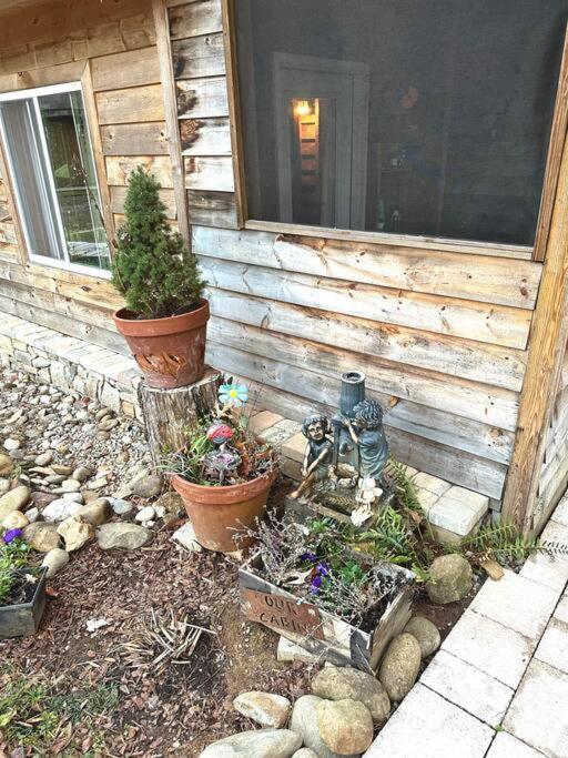 Beautiful & Peaceful Cabin W/ Deck Garden & Fire-Pit Murphy Zewnętrze zdjęcie